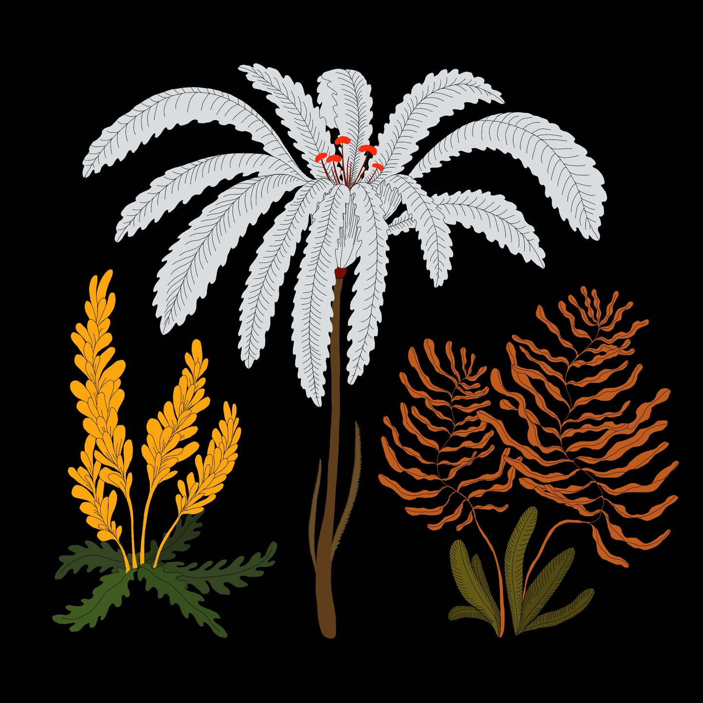 Nocturnal Flowers Print 30 x 30 cm