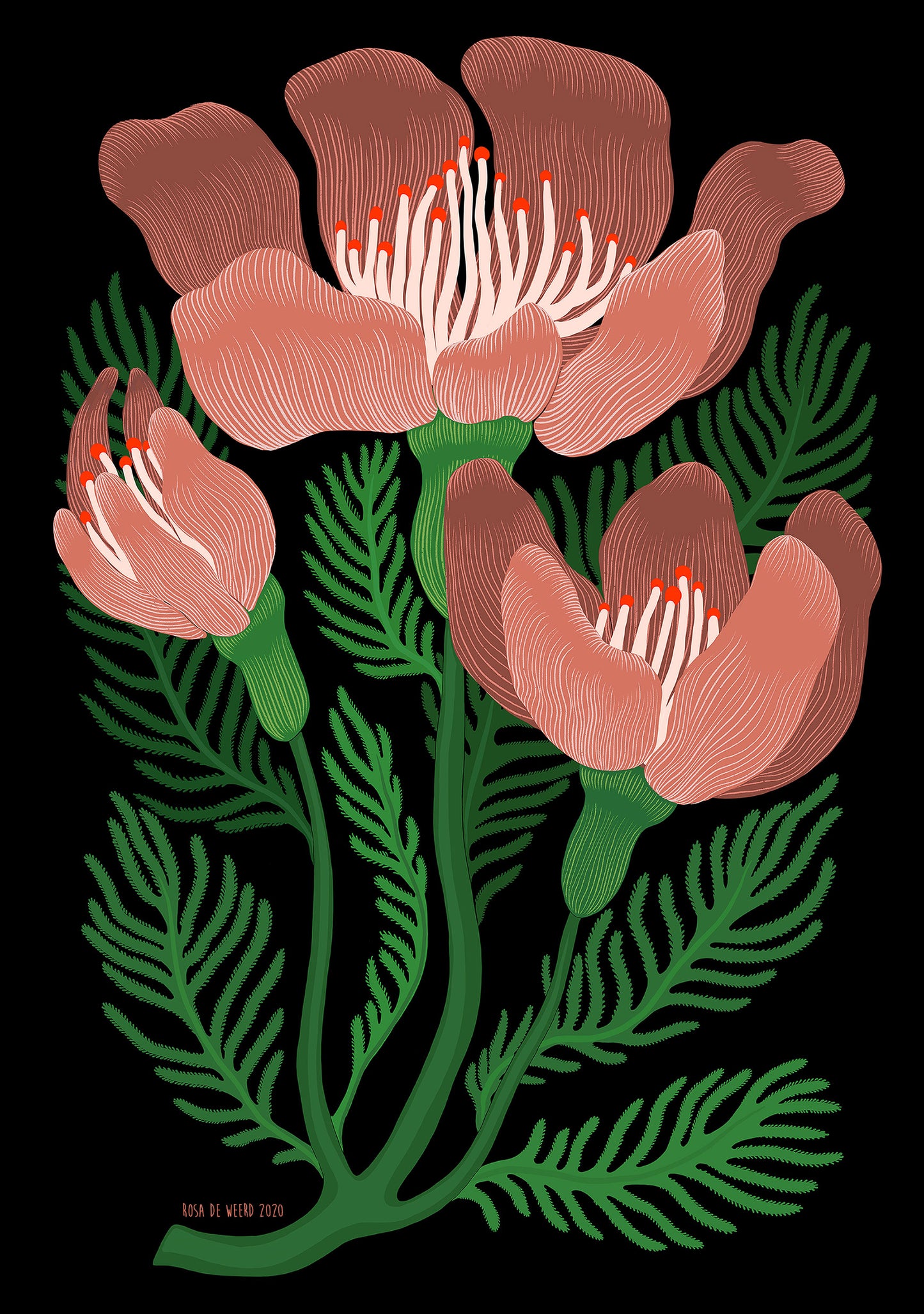 The BIG Flowers Print BLUSH A2