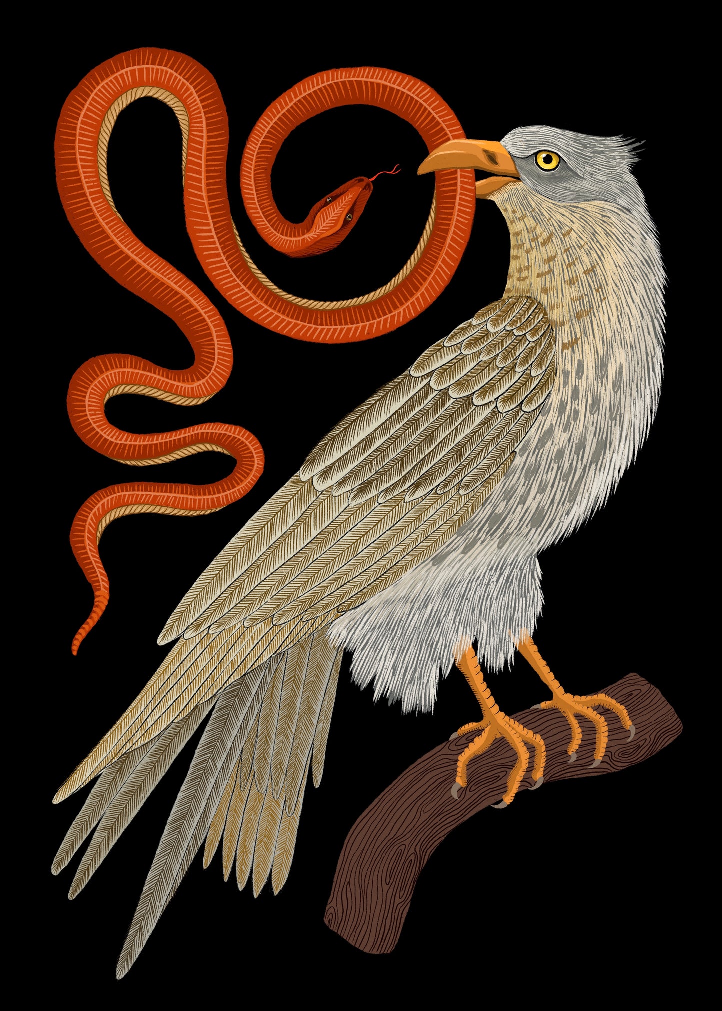 The Snake & Bird Print A3