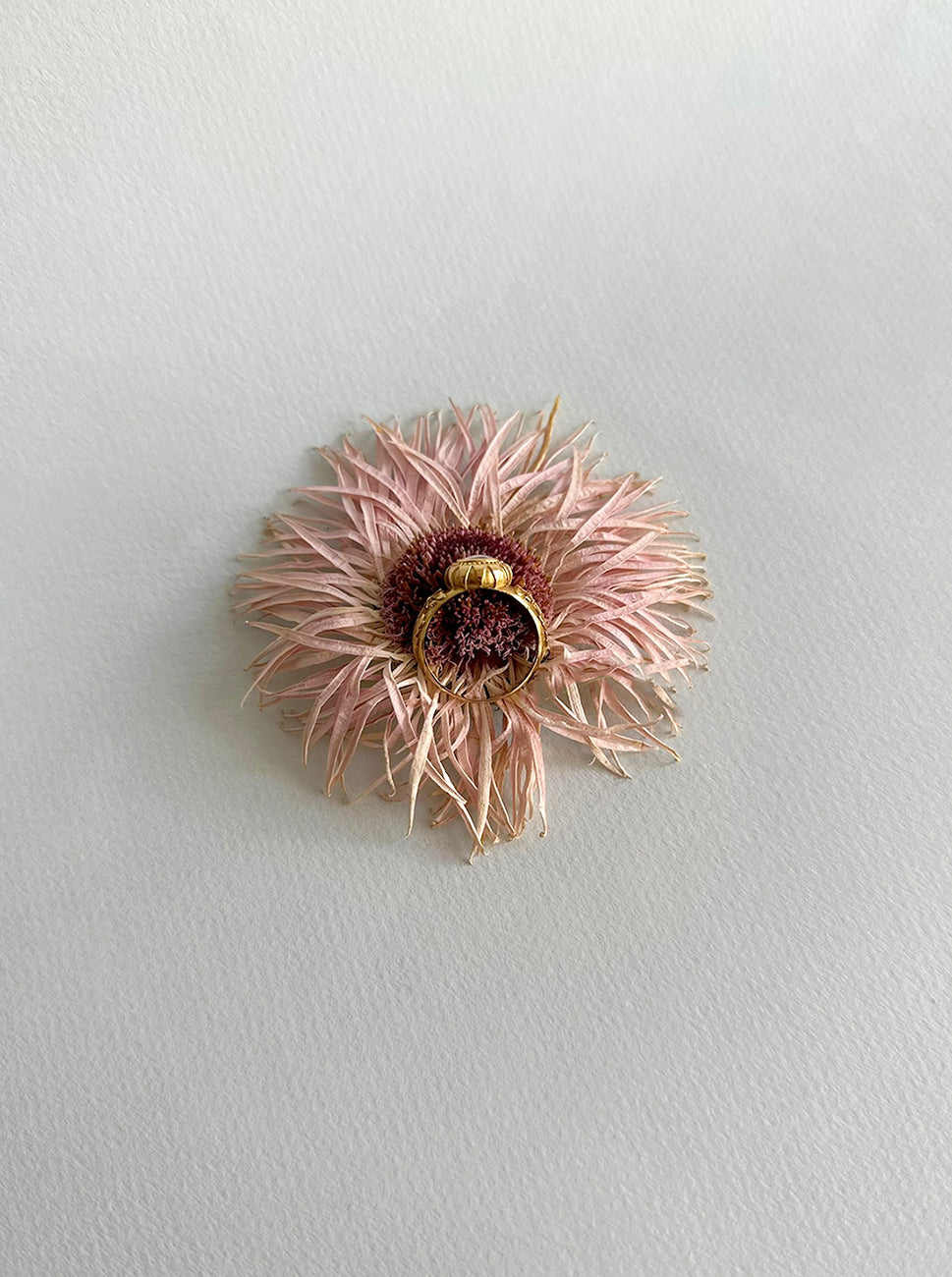 Elfin Circus Ring + Rose-cut Sapphire