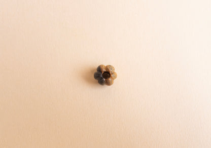 Bora Bead Wood - Pock Wood