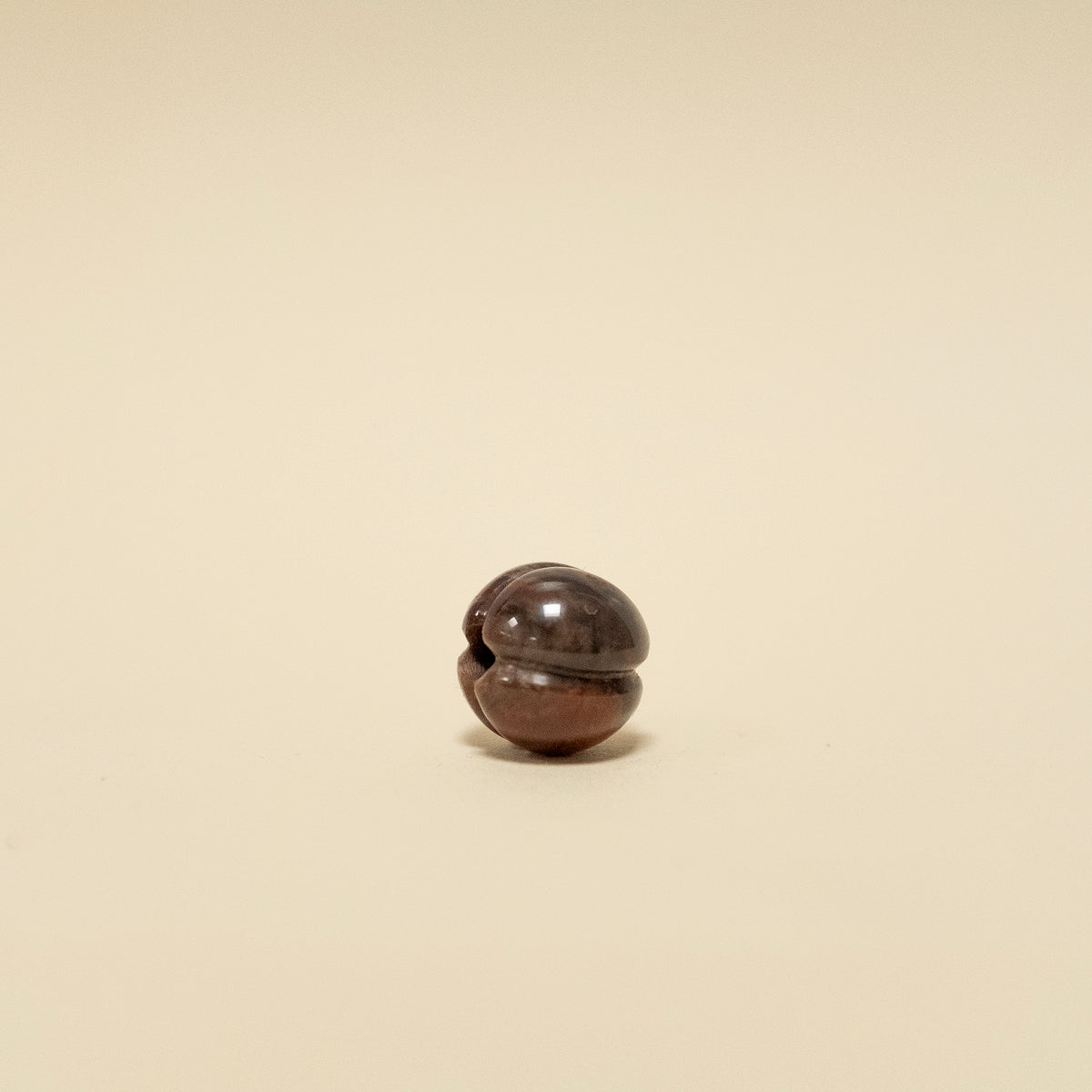 Bora Bead - Petrified Wood